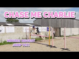 CHASE ME CHARLIE - MOUSE'S BIGGEST JUMP EVER! - HORSE VS HUMAN CHALLENGE