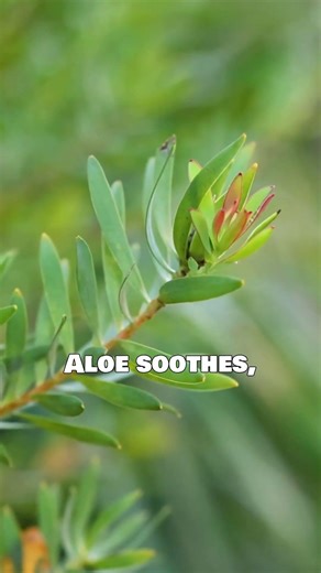 Is Store-Bought Really Better Than Homemade Night Cream for Glowing Skin