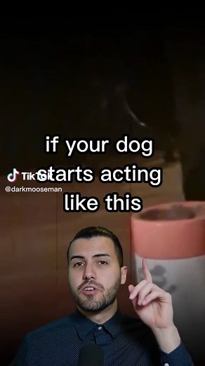 Dog Protects Owner from Ghost... #scary #paranormal #dog #darkmoose #darkmooseman