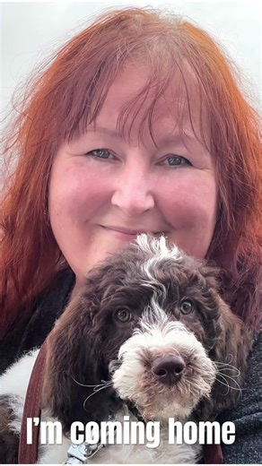 Coming Home. I’m a labradoodle puppy coming home for the first time. So exciting, lots of new toys.