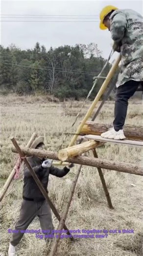 Two Man Crosscut Saw: Old-School Log Cutting!