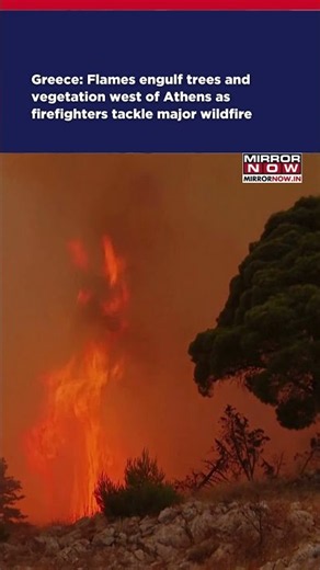 Greece: Flames Engulf Trees In West Of Athens #shorts #ytshorts #watch