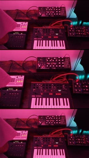 Live Synth Jam + TouchDesigner Visuals | Model D, Subharmonicon & Volca Sample