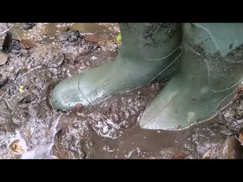 Green Wellies in Sticky Woodland Stream Mud