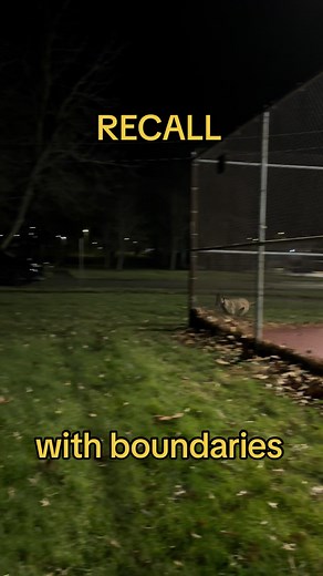 Adding some fun to our recall ✨ #malinois #dogtraining #galswithmals #fyp #recalltraining #recallyourdog