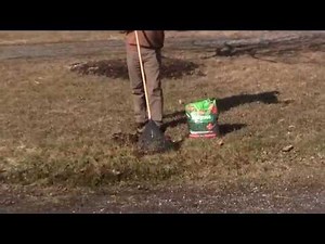 How To Rake Your Spring Lawn