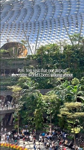 Best Airport in the World | Singapore