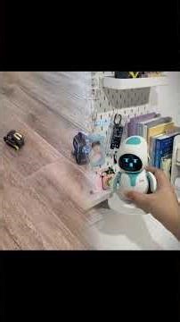 Watch Emo and Vector Explore Together #emo #cozmo #robot #vector vec