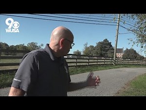 Maryland zebra owner charged with animal cruelty