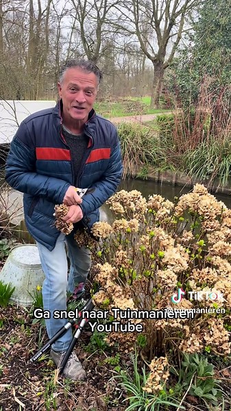 🌿 Hé Tuintijgers! Het is maart, tijd om je boerenhortensia te snoeien zodat hij straks weer prachtig kan bloeien. 🌿In deze video legt Jur kort uit hoe je dat het beste doet. Wil je meer tips en een uitgebreide uitleg? Op ons YouTube-kanaal Tuinmanieren vind je meerdere video’s waarin we stap voor stap laten zien hoe je je hortensia goed snoeit. 🌿Veel snoeiplezier! #tuinmanieren #tuinieren #hortensia #snoeien #lente