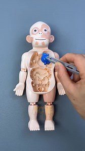 🔍 Hey Curious Kids! 🧠 Build, learn & have fun with our 3D Human Body Puzzle! Perfect for little scientists like you! 🧩 Fun to build! 🌟Learn anatomy the easy way! 👶 Inspires little scientists! 🛒 Order now: kiddiewink.pk/products/human-body-toy #kiddiewink #diy #humanbody #kidsactivity | KiddieWink.Pk