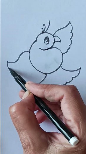 how to draw beautiful and easy bird 🐣with 3