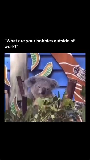 sonusdex on Instagram: "There was a time when my free hours were swallowed by exhaustion, errands, or mindless scrolling, and I forgot that life exists outside the structure of a workday. Over time I began to realise that investing in myself didn’t have to wait until a day off or a holiday — it could live in the simple things I chose to spend my time on when I clocked out. Whether it’s losing myself in a book, tending to a garden, exploring a trail, cooking a recipe I’ve been curious about, sket