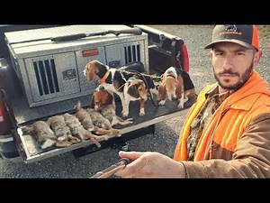 Solo Rabbit Hunt with a New Browning A5 Ultimate Shotgun. Missouri limit? Or did I struggle?