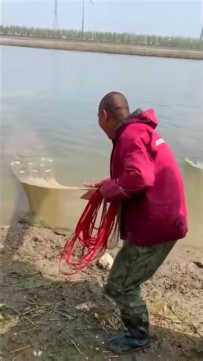 most recent fishing videos #fishing #net #fishvideo #fypシ