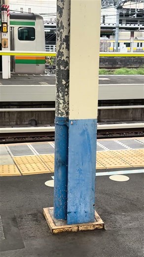 大宮駅の車庫に総武線各駅停車の231系がいた‼️ #チャンネル登録よろしくおねがいします #チャンネル登録者数1万人になる #鉄道 #鉄道 #電車