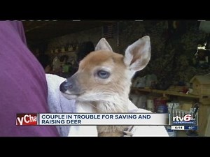 Indiana police officer, wife could face jail time for saving a deer