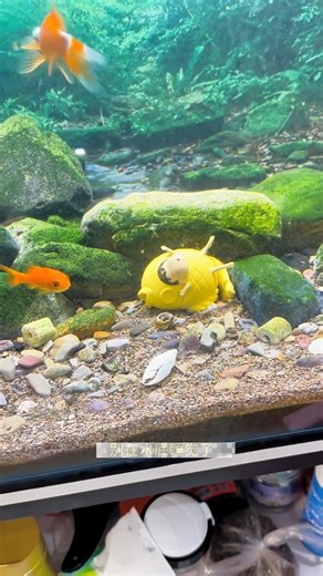 चिंटू तो पानी में जाकर मछली बन गया ll Carriage House wooden artist ll #cartoon #shortvideo