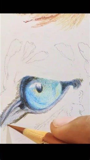Shading a Leopard Eye Drawing (Quick Tutorial)