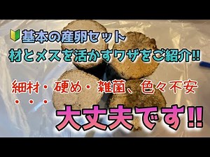 🔰簡単・基本の産卵セット！少しの工夫で安心感倍増！B材未満でもしっかり産ませる仕込み！具体的な方法・理論、そして小技などをご紹介！国産オオクワガタ・ホペイ対応。