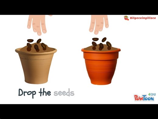 Science - Doing A Plant Experiment