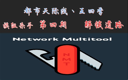 #都市天际线 #MOD Network Multitool介绍第四期之丨解锁道路模式丨