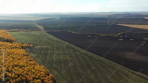 Drone flies high over autumn plowed agricultural fields and farmland in Siberia