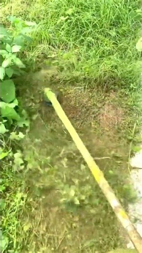 雑草を一気に刈る！草刈り機の実力