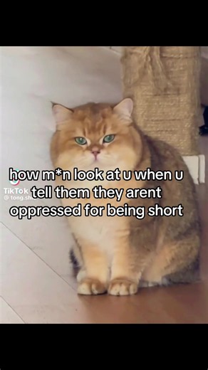 How Men React When Told They're Not Oppressed for Being Short