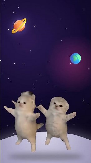 Kittens dancing in SPACE with zero gravity 🚀😹