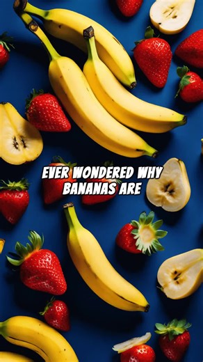 @FactualFrontier 𝐢𝐬 𝐚 𝐩𝐫𝐨𝐣𝐞𝐜𝐭 𝐝𝐞𝐝𝐢𝐜𝐚𝐭𝐞𝐝 𝐭𝐨 𝐛𝐫𝐢𝐧𝐠𝐢𝐧𝐠 𝐲𝐨𝐮 𝐧𝐨𝐭𝐡𝐢𝐧𝐠 𝐛𝐮𝐭 𝐟𝐚𝐜𝐭𝐬 𝐋𝐞𝐚𝐫𝐧 𝐰𝐢𝐭𝐡 𝐮𝐬 🤝 @FactualFrontier - #facts #learn #wisdom #improve #inform #information #informational #learning #factual #didyouknow #didyouknowfacts #fypage #fyp #foryoupage #explore #explorepage #reccomended #foryou