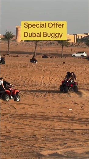 Dubai Desert Buggy