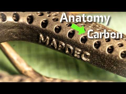 Anatomy to Carbon: The Full Bespoke Build Process