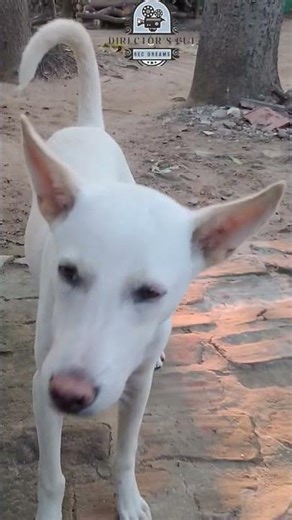 வீட்டு வேலையும், எதிர் வீட்டு ஆண்ட்டியும்.., #funny #comedy #shorts