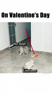 Valentine's Day is coming up... You're never alone...why? Because Grunt Style has gear just for you! | Grunt Style