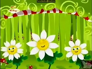 Дети и животные: Попугайчики – смотреть видео онлайн в Моем Мире | Людмила Руденко