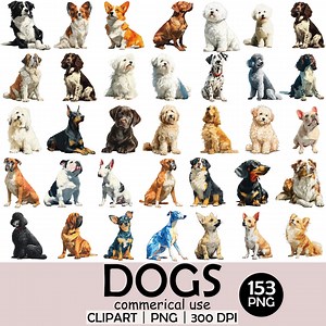 Dog Clipart PNG Bundle: 153 Transparent Illustrations (commercial Use, Digital Download) - Etsy