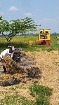 Jalur lori tertimbun tumpukan jerami