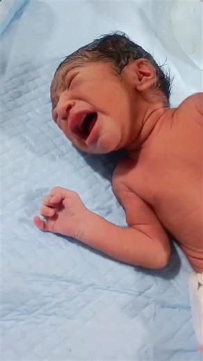 3.3K views · 66 reactions | When baby surprises you with their expressions! 樂 #BabyMilestone #JUNIOR #adorable #cutebaby #curious #cute #baby #love #babycare #trending #trendingreels #viralreels #facebookreelsviral #babybirth #FacebookReelsContest #facebookreels #reels #shorts | Global Nursing Profession | Facebook