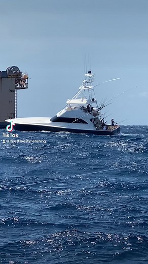 This #seakeeper sure is nice! #bluemarlin #ijtt #sportfish #fishing #pelagicgear #vikingyachts #billfish #viking80 #itjusttakestime #offshorefishing #marlin #sporty
