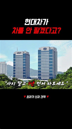 현대차 사지 말랍니다