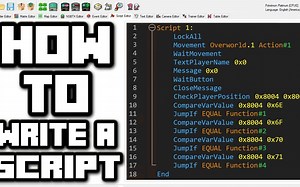 Pokemon DS 脚本教程：带你完成我的第一个脚本！