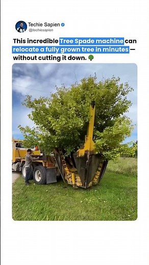 This Machine Relocates Full-Grown Trees Without Cutting Them 🌳🤯