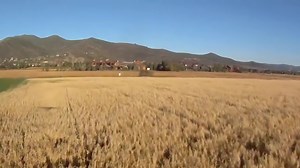 EasyGlider Pro Zipline Hack with GoPro and AV2GO