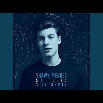 Stitches (Seeb Remix)