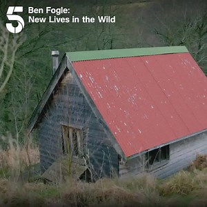 18K views · 140 reactions | We all love a good game of Scrabble, but is it the same Scrabble the Powell family play? Watch Ben Fogle: New Lives in The Wild, Tuesdays at 9pm on Channel 5 | Channel 5 | Facebook