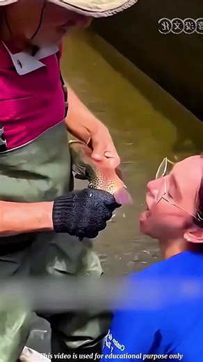 You’ll Never Eat This 😳 How Fish Eggs Turn Into Millions of Baby Fish! 🐟 #shorts #fishing