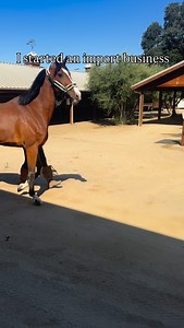 3.9K views · 441 reactions | My last five months as a new equestrian business owner 﫣懶 #equestrian #horse #horses #showjumping #horselove | Transatlantic Equestrian | Facebook