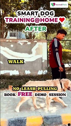 BOOK A FREE DOG TRAINING DEMO AT HOME!