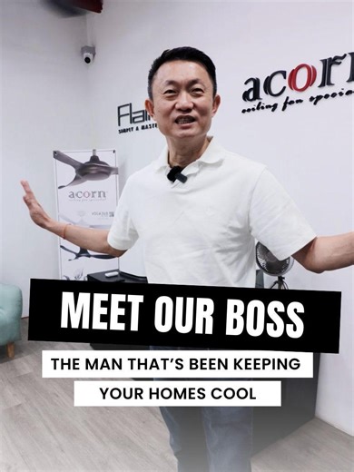 Building a Homegrown Ceiling Fan Brand in Singapore